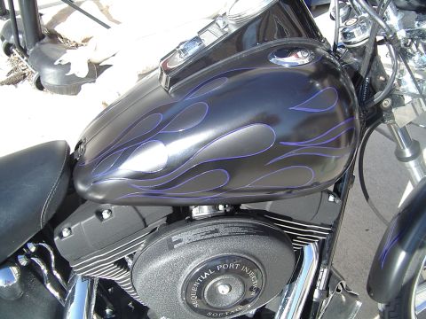 2005 Harley-Davidson Softail photo