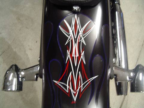 2005 Harley-Davidson Softail photo