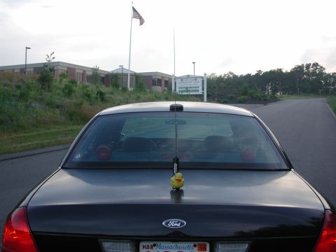 1999 Ford Crown Victoria photo