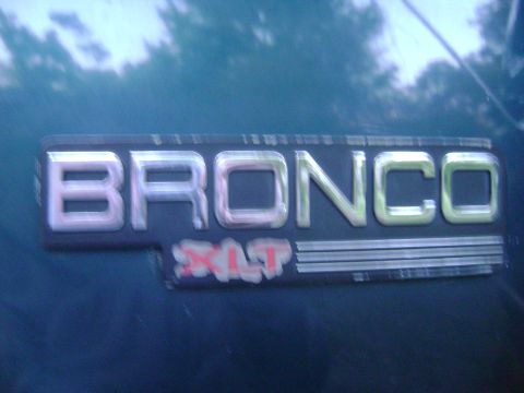 1994 Ford Bronco “Hellga”