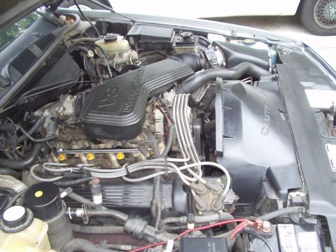 1995 Ford Crown Victoria photo