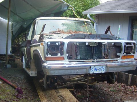 1979 Ford Bronco photo