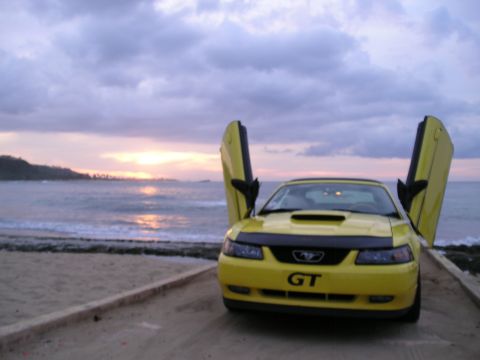 2009 Ford Mustang photo