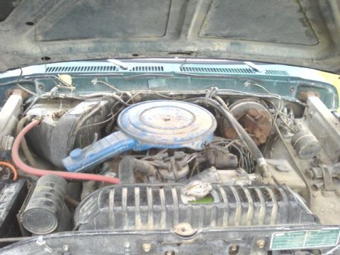 1979 Ford Bronco photo