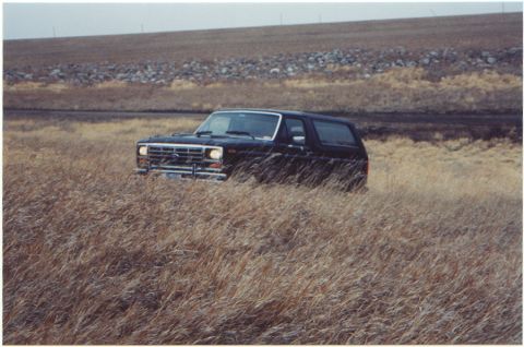 1986 Ford Bronco photo
