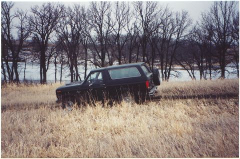 1986 Ford Bronco photo