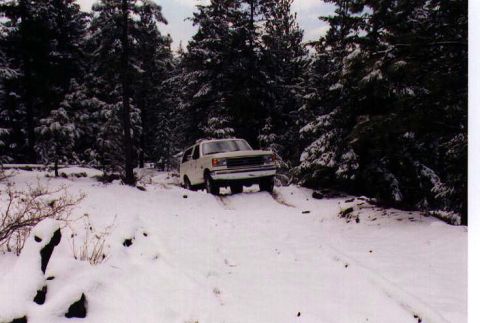 1990 Ford Bronco photo