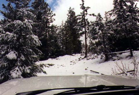 1990 Ford Bronco photo