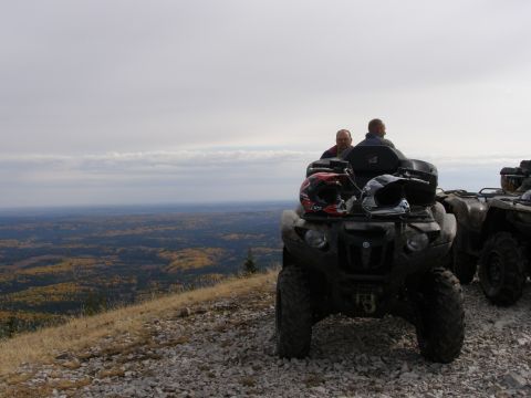2004 Honda TRX 350 FE photo