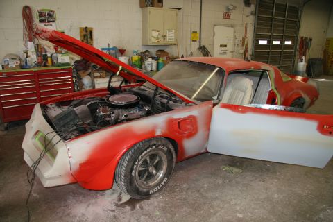 1977 Pontiac Firebird photo