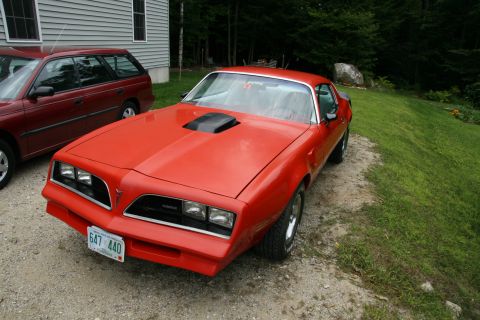 1977 Pontiac Firebird photo