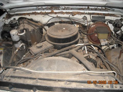 1979 Ford Bronco photo