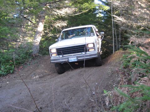 1980 Ford Bronco photo