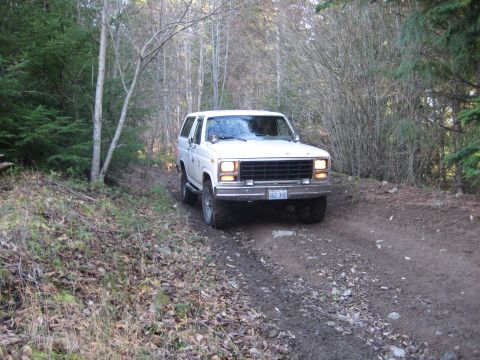1980 Ford Bronco photo