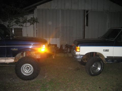 1989 Ford F-150 photo
