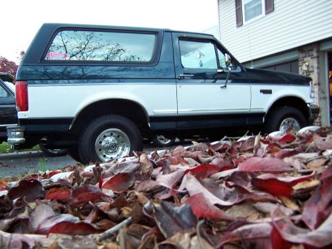 1995 Ford Bronco photo
