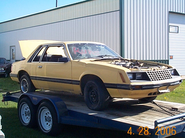 1982 Ford Mustang “bumble bee”