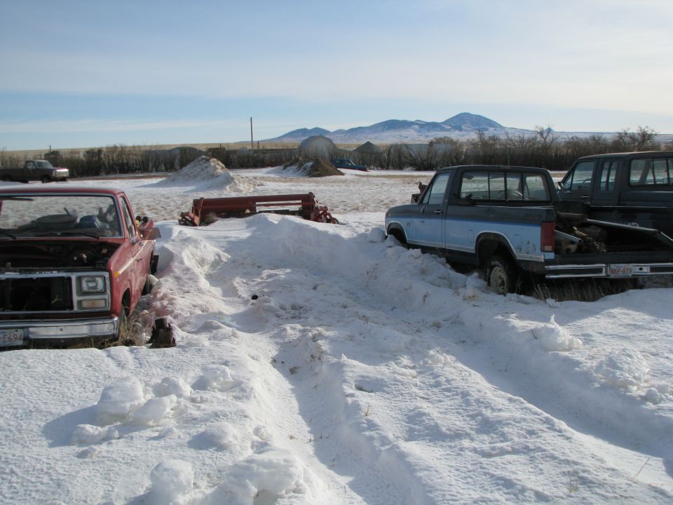1982 Ford F-150 “It needs a name”