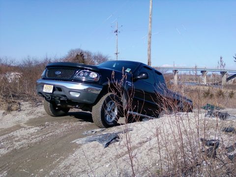 2002 Ford F-150 photo