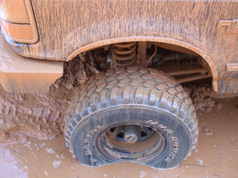 1995 Ford F-150 photo