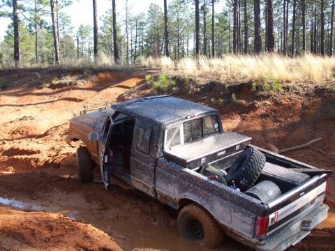 1995 Ford F-150 photo