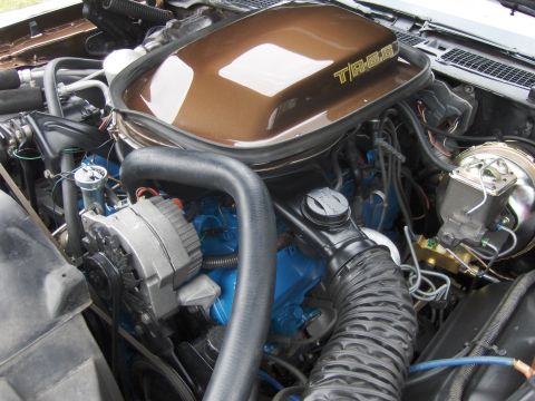 1978 Chevrolet Camaro photo