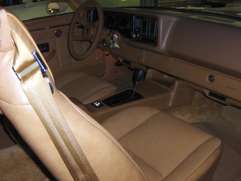 1979 Chevrolet Camaro photo