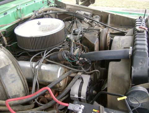 1979 Ford Bronco photo