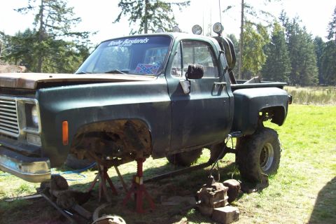 1976 Chevrolet C/K Pickup photo