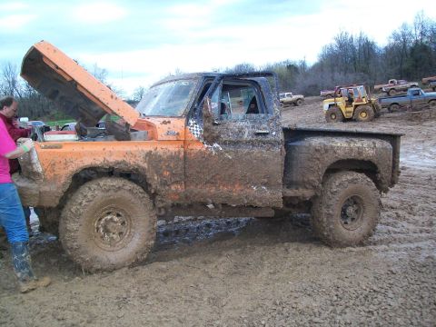 1979 Ford F-250 photo