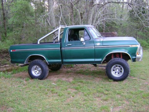 1979 Ford F-150 photo