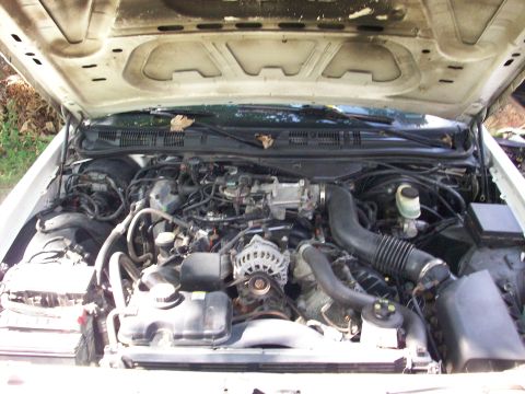 2003 Ford Crown Victoria photo