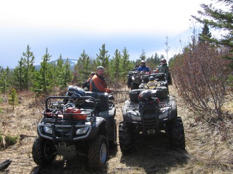2008 Honda RANCHER photo