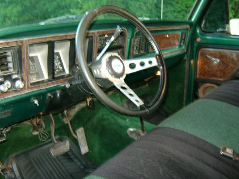 1979 Ford F-150 photo