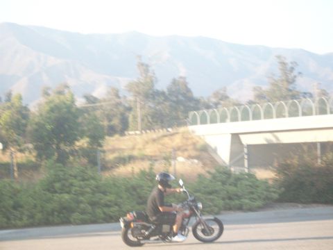 1985 Honda CMX250 Rebel photo