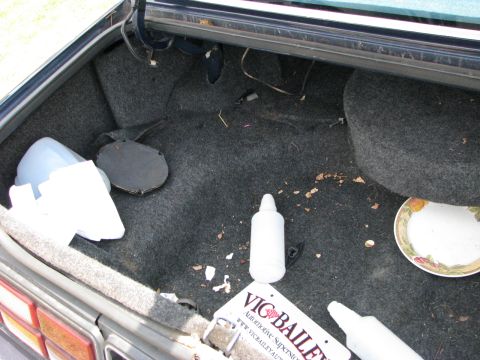 1985 Ford LTD photo