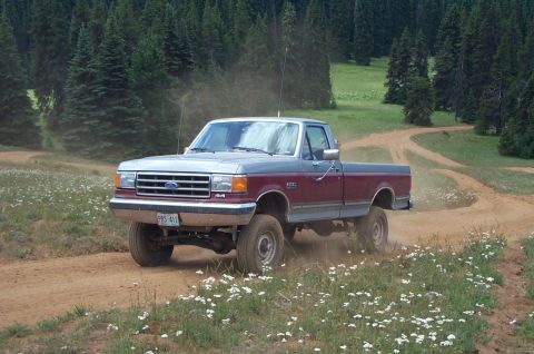 1989 Ford F-150 photo
