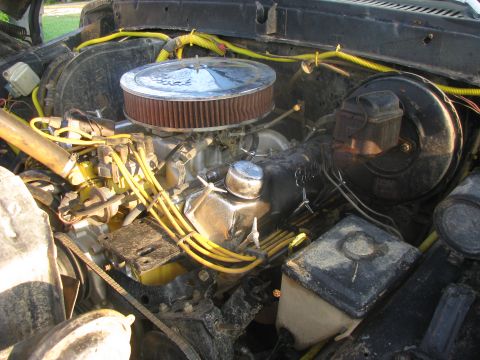 1979 Ford Bronco photo