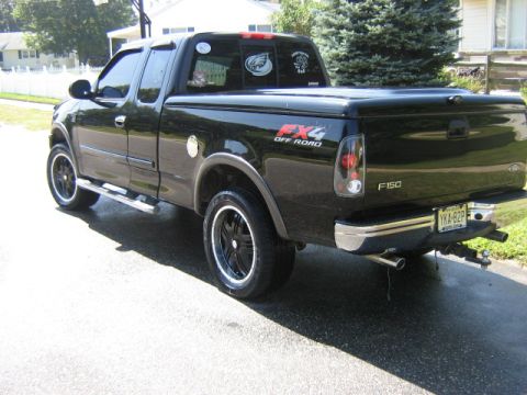 2002 Ford F-150 photo