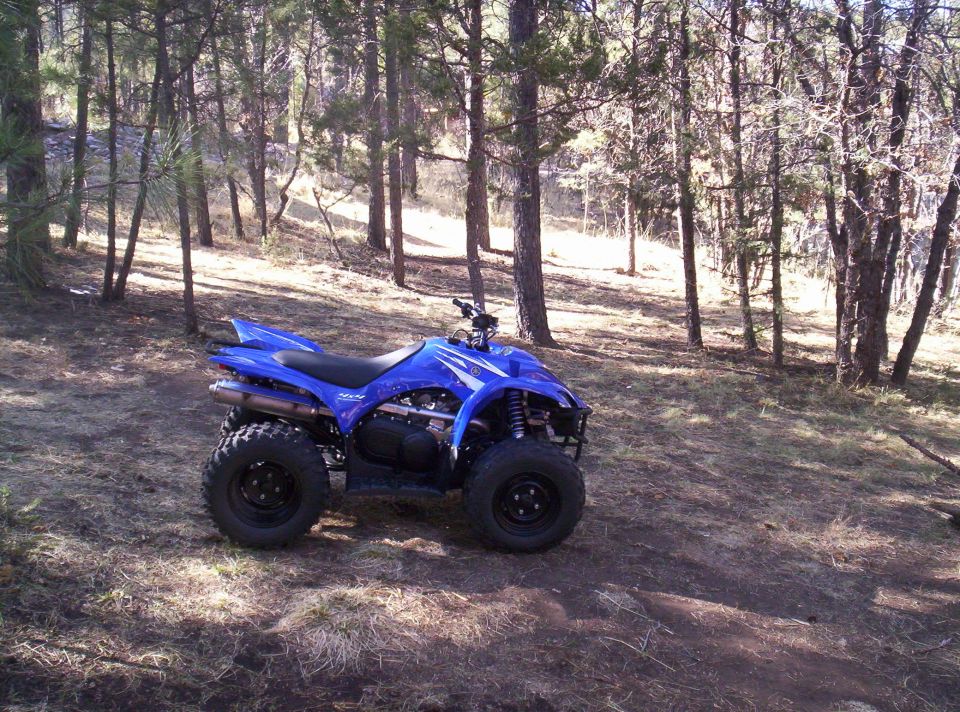 2008 Yamaha WOLVERINE “Wolvey”