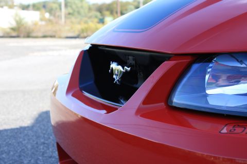 2004 Ford Mustang photo