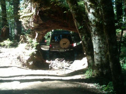 1990 Ford Bronco II photo