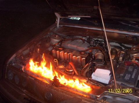 1982 Oldsmobile Cutlass photo