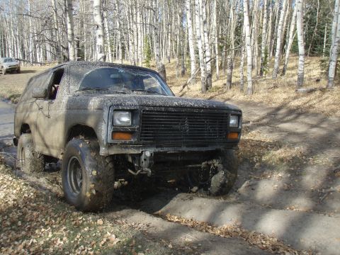 1985 Ford Bronco photo