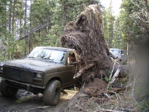 1985 Ford Bronco photo