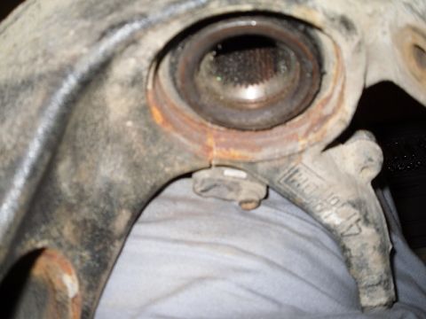 1999 Volkswagen Beetle photo