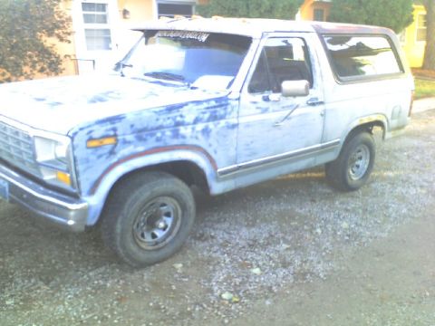 1981 Ford Bronco photo