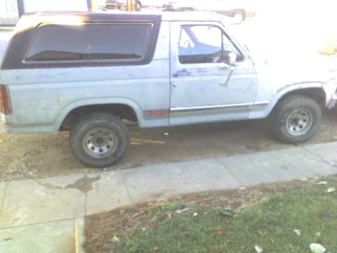 1981 Ford Bronco photo