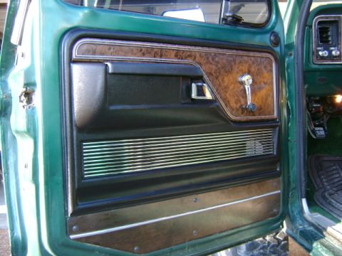 1979 Ford F-150 photo