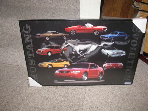 2003 Ford Mustang photo